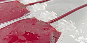 CryoClose™ Freezing blood bags